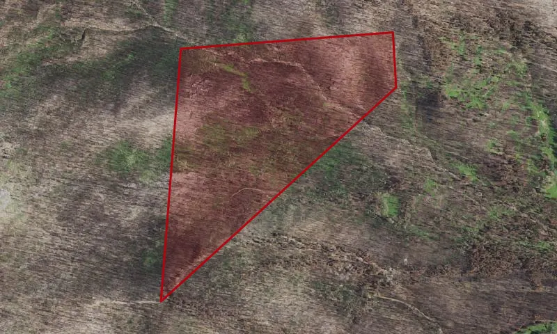 Sparks Creek Roadless Area