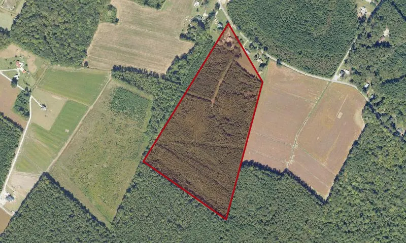 Diamond Estates Park