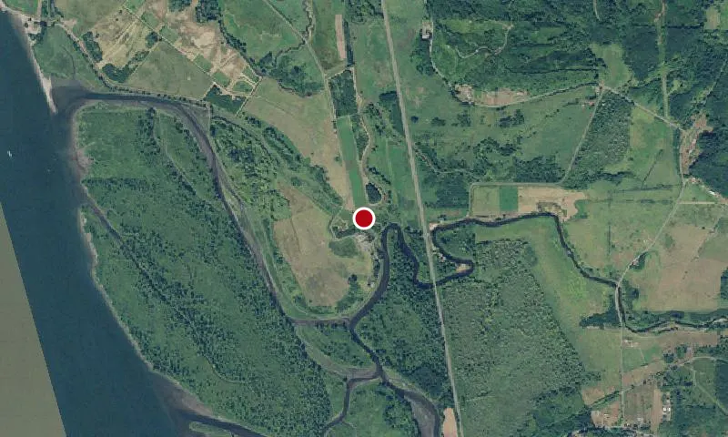Julia Butler Hansen Refuge for the Columbian White-Tailed Deer