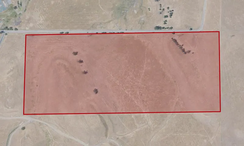 Christensen Road Burrowing Owl Site