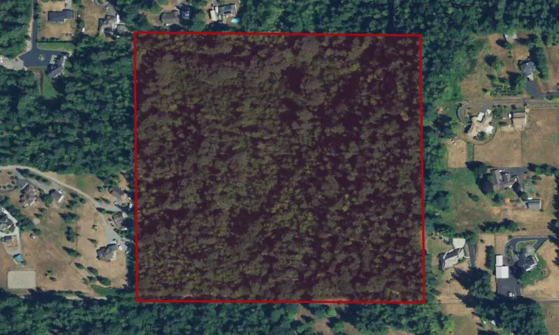 Bass Lake Complex Natural Area 5