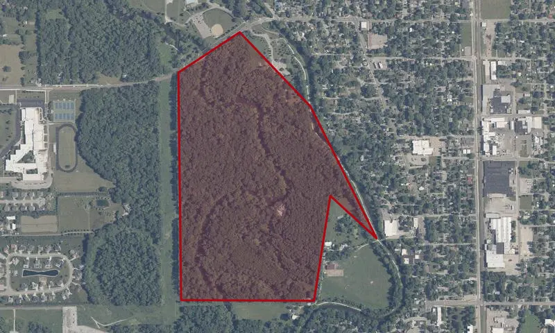 Dr. Larry Beachy Classified Forest