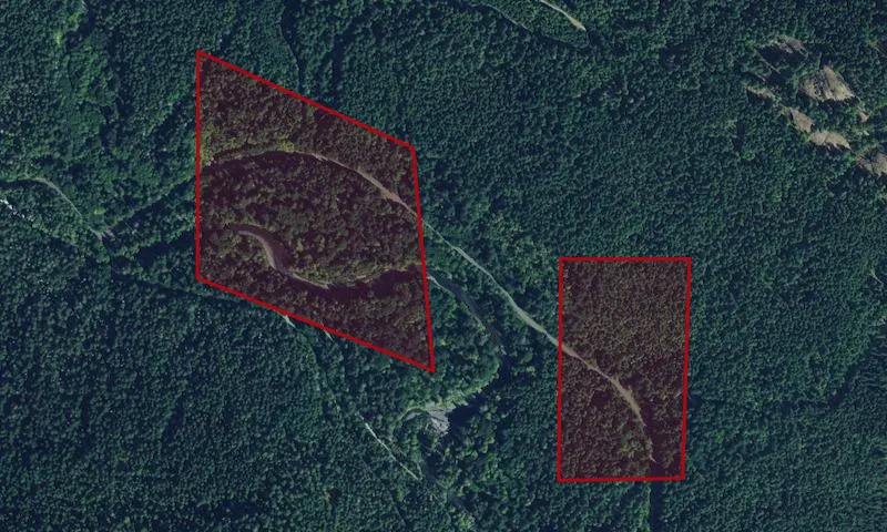 Hamma Hamma Recreation Area