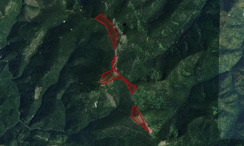 Gilt Edge-Silver Creek Roadless Area
