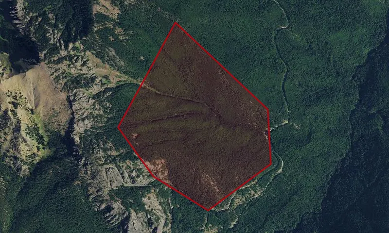 Tyler Peak Botanical Area