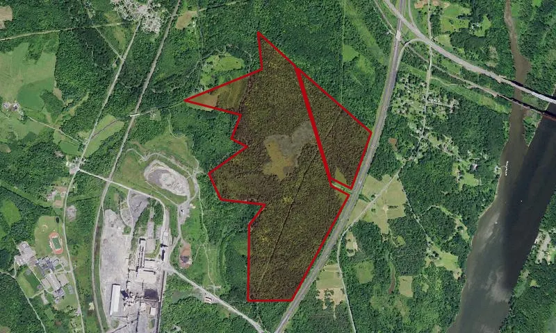 Coeymans Creek Wma