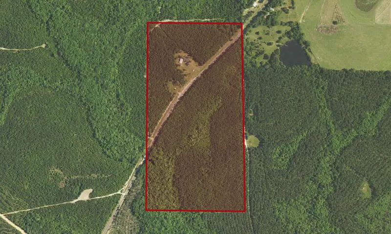 Panther Creek State Forest