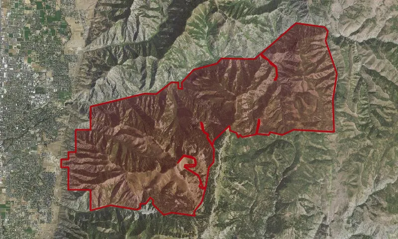 Mt.  Logan North Roadless Area