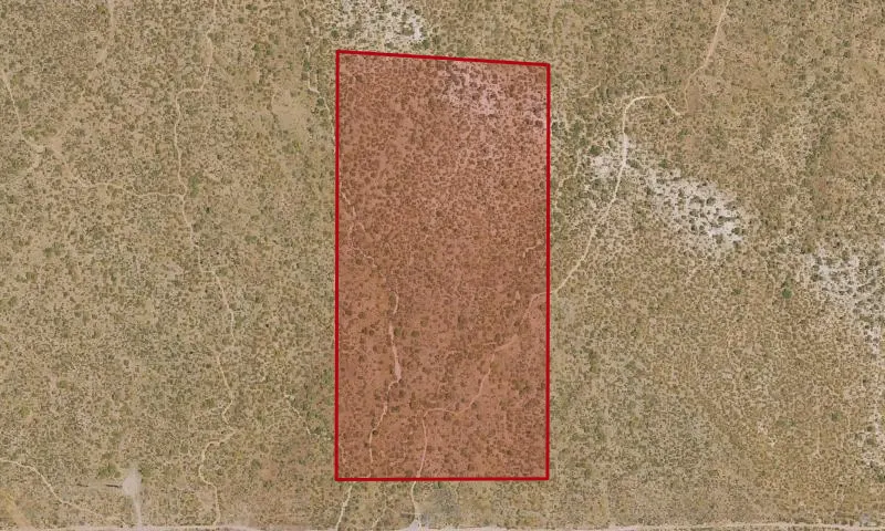 216-56-003B