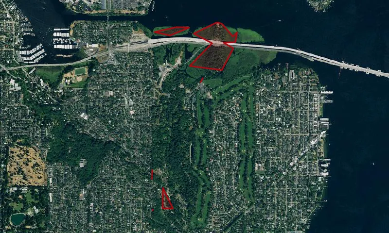 Washington Park Arboretum
