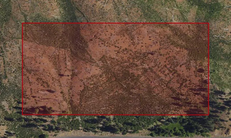 Bark Beetle Hazard Plots, Bear Valley Station Experimental Research Area