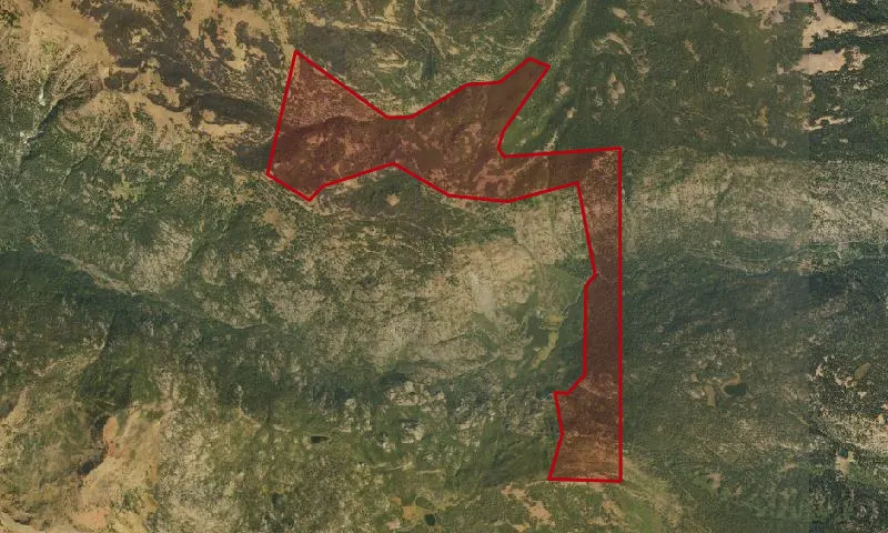 Lick Creek Roadless Area
