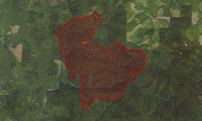 Drift Creek Wilderness