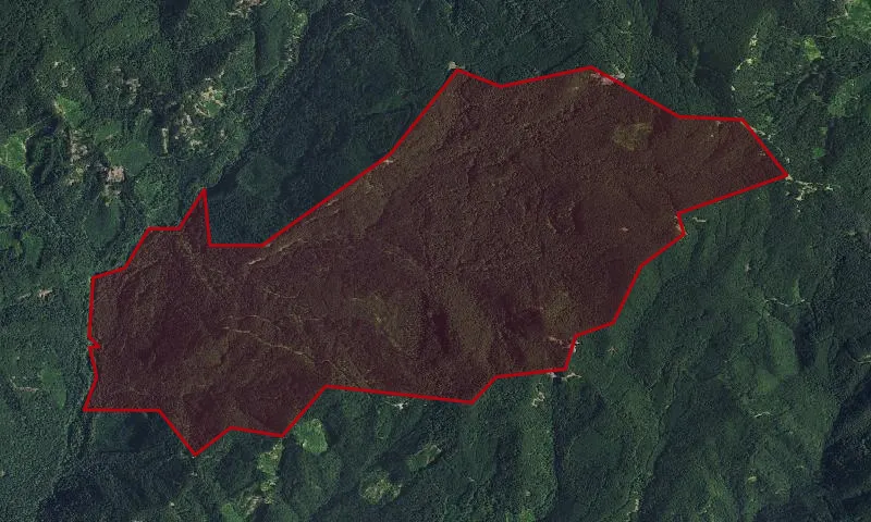 Panther Creek Division Experimental Forest