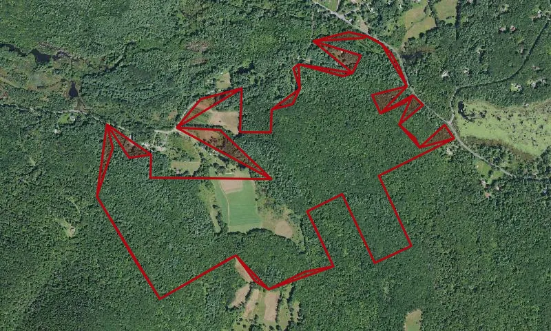 Wittenberg Town Lands