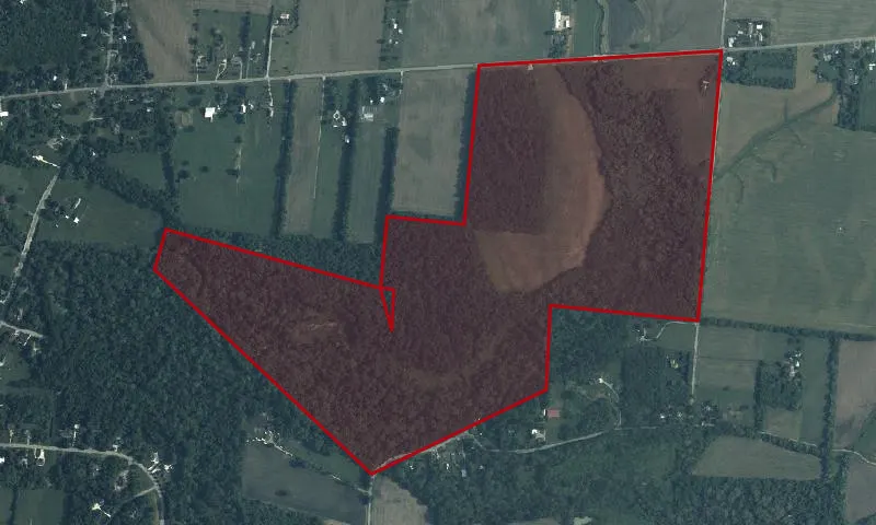 Gallagher / Springfield Fen