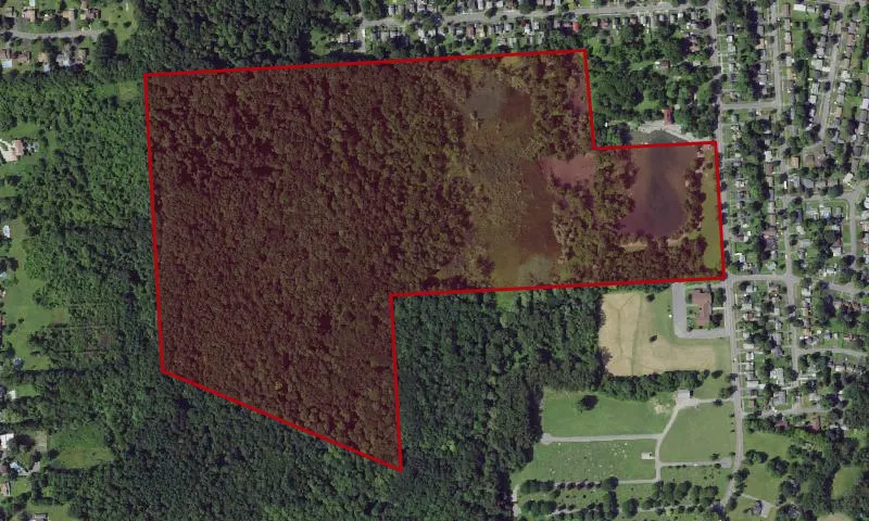 City Of Syr Parks-Webster Pond Land