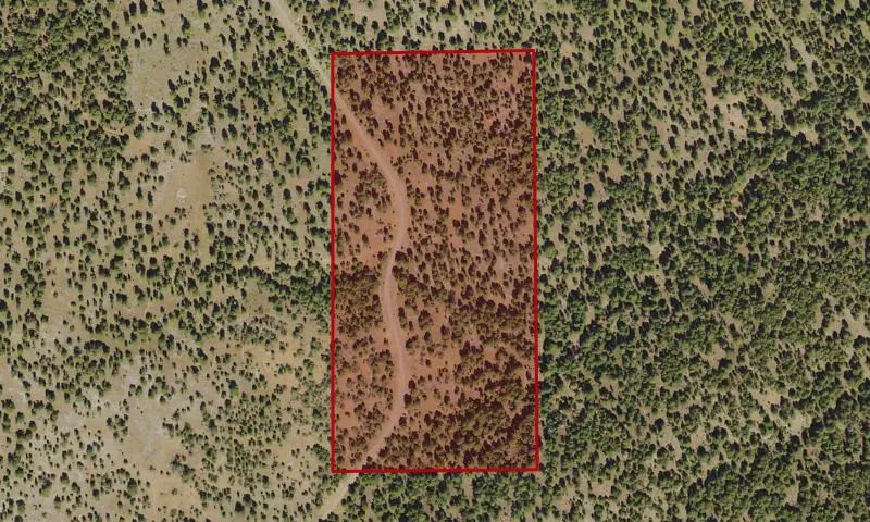Bark Beetle Hazard Plots, Scotty Creek Experimental Research Area