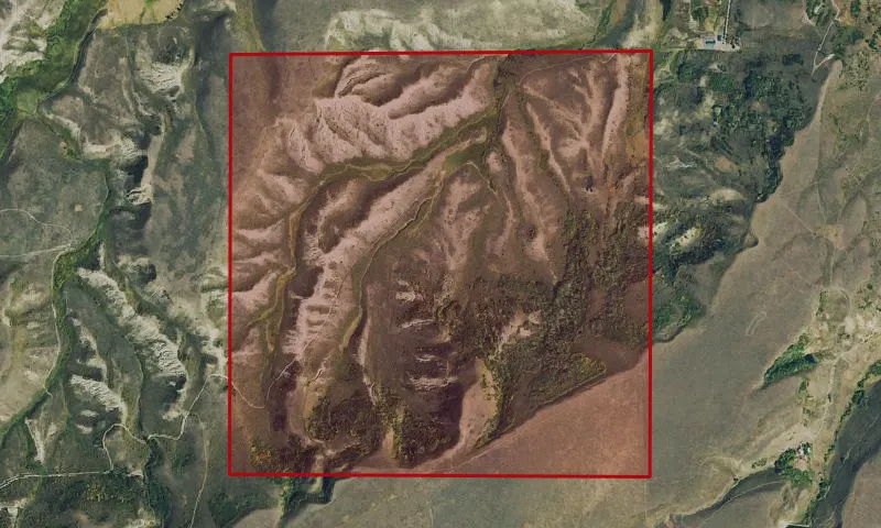 Yampa