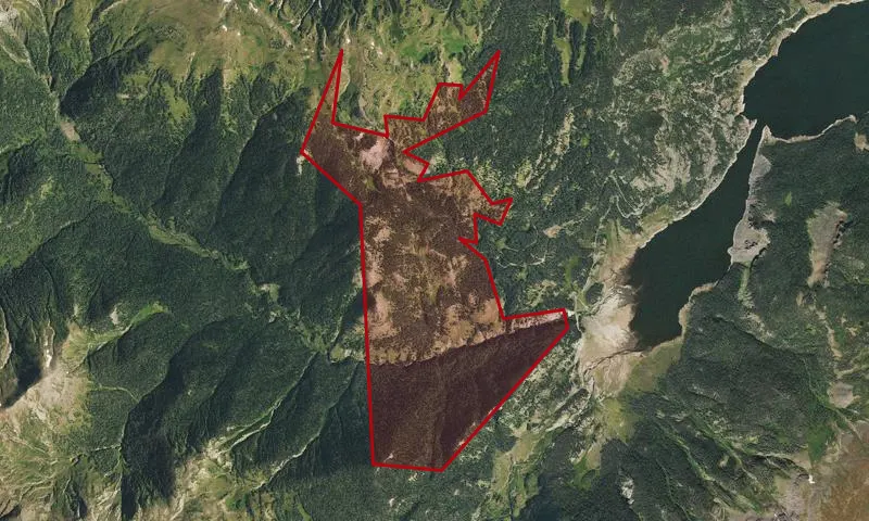 Gold Creek / Cascade Creek Roadless Area