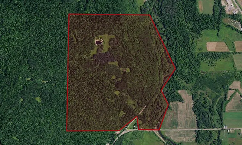 Genesee River Wildlife Management Area
