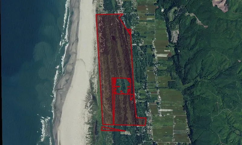 Grayland Beach