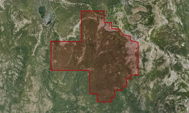 Onion Creek Experimental Forest