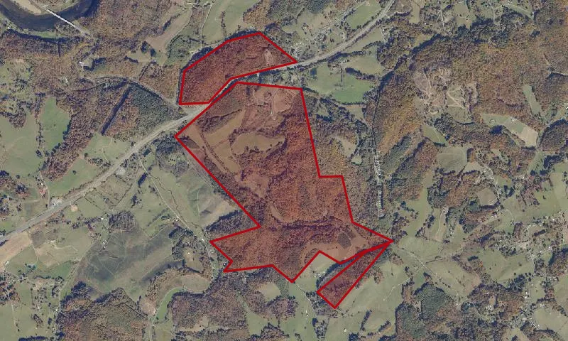 Judge Matthews State Forest