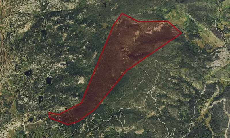 Chedsey Creek Roadless Area