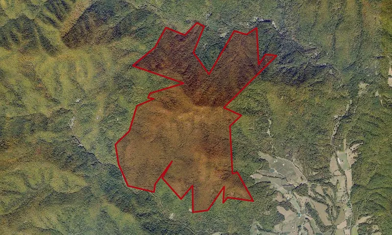 The Friars Roadless Area