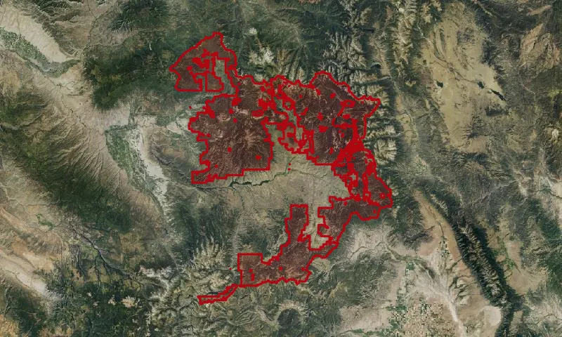 Gunnison National Forest