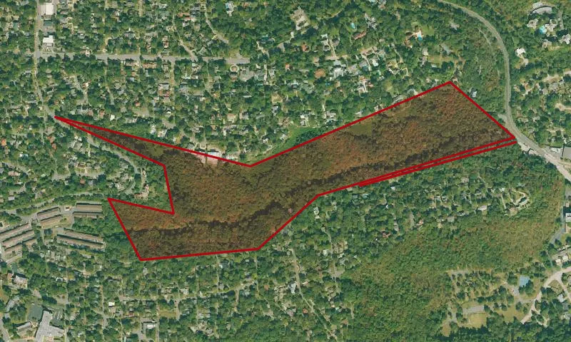 Allsopp North