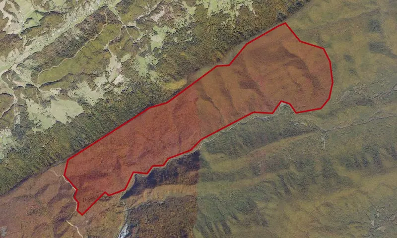 Peters Mountain Wilderness