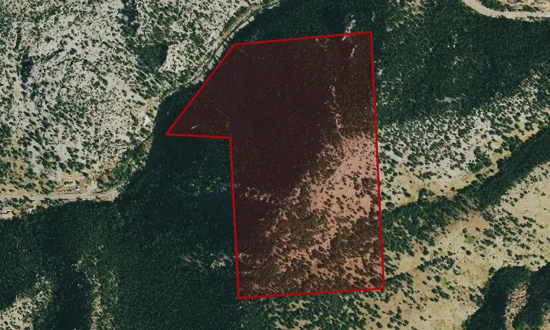 Coal Creek Canyon Park[MN[JCOS[Miller, Irwin, Talcott