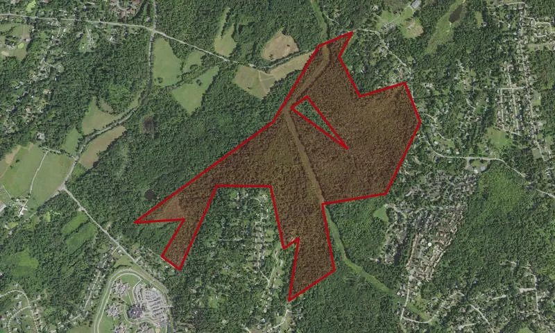 Baxtertown Woods Wma
