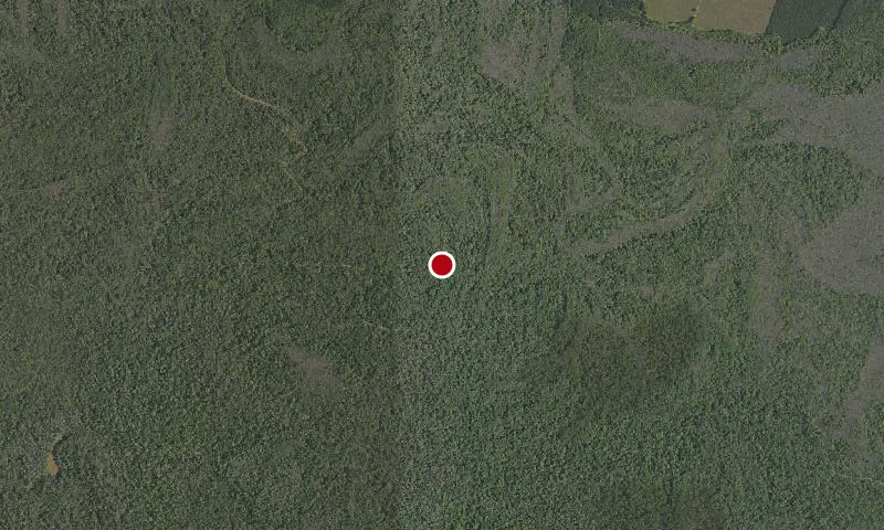 Congaree National Park