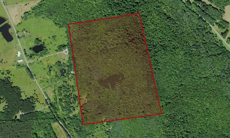 Hooker Mountain Wma