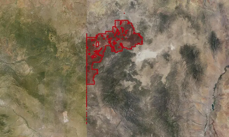 Apache National Forest