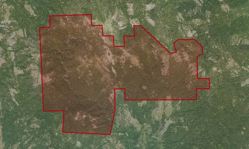 Board Camp Roadless Area