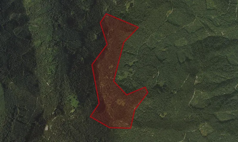 Lamb Butte Scenic Area
