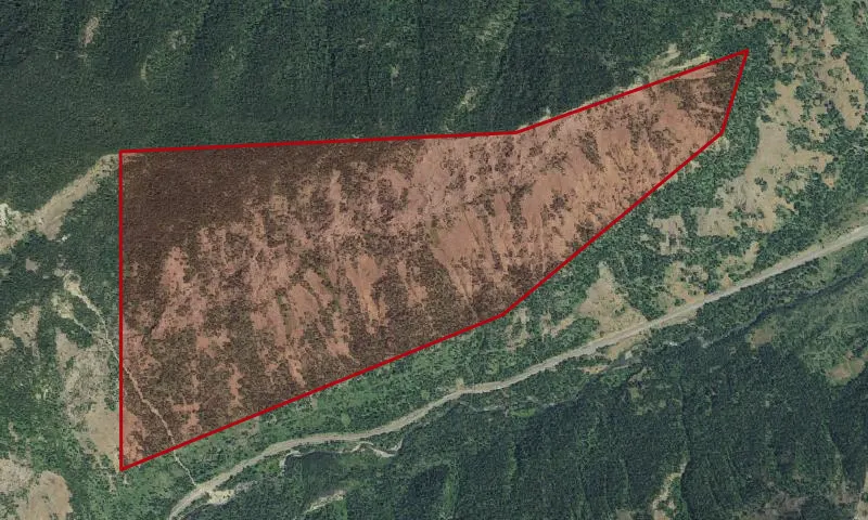Wapiti Valley East Roadless Area