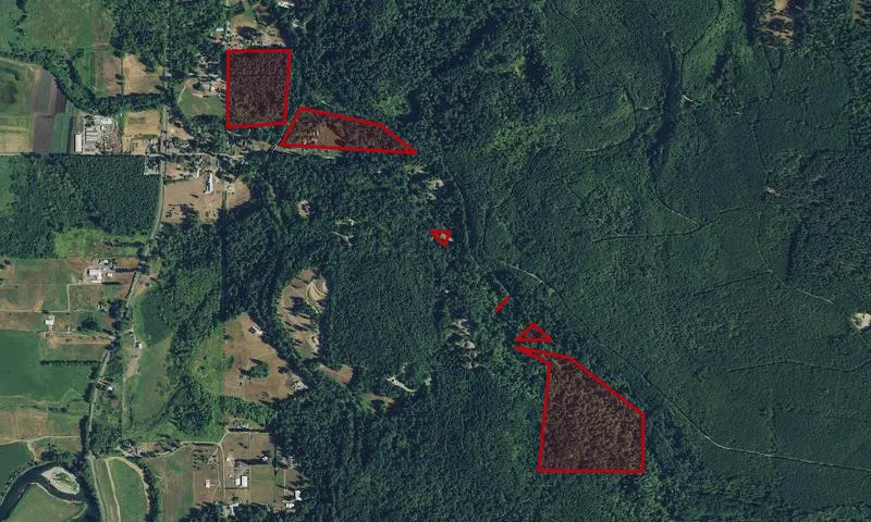 Griffin Creek Natural Area