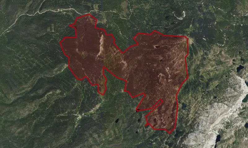 Campbell Lake Roadless Area
