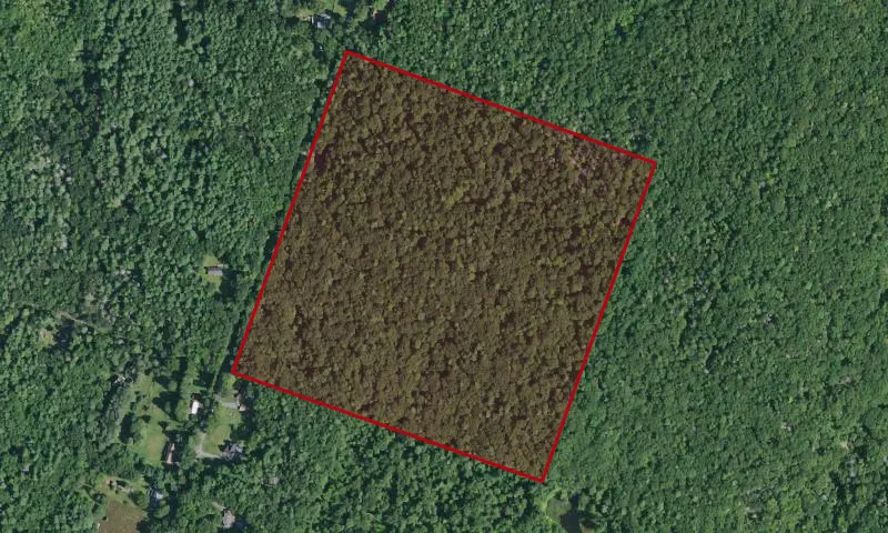 High Woods Multiple Use Area