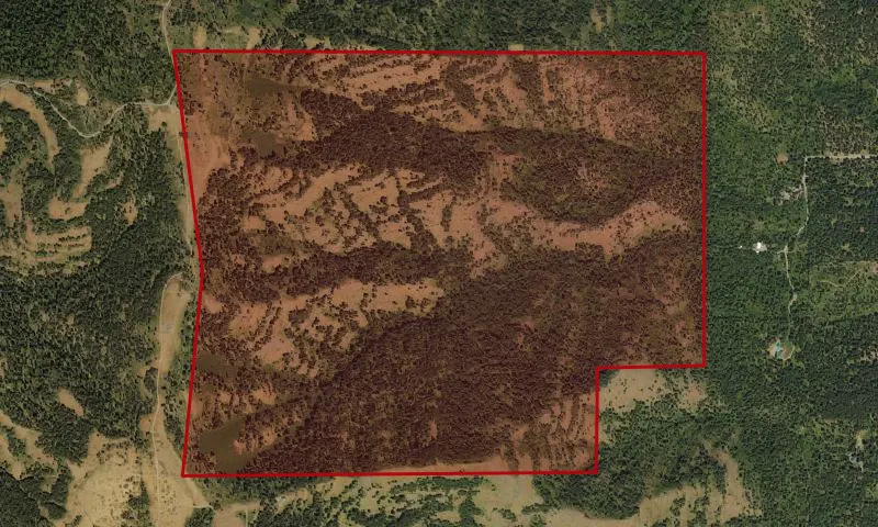 North Mount Emily Roadless Area