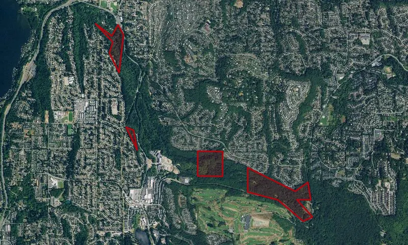 Coal Creek Park