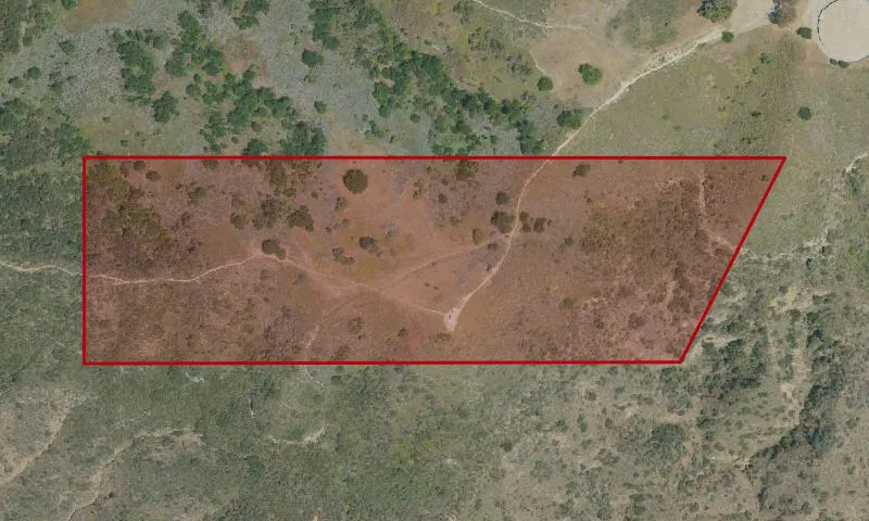 Steers Property