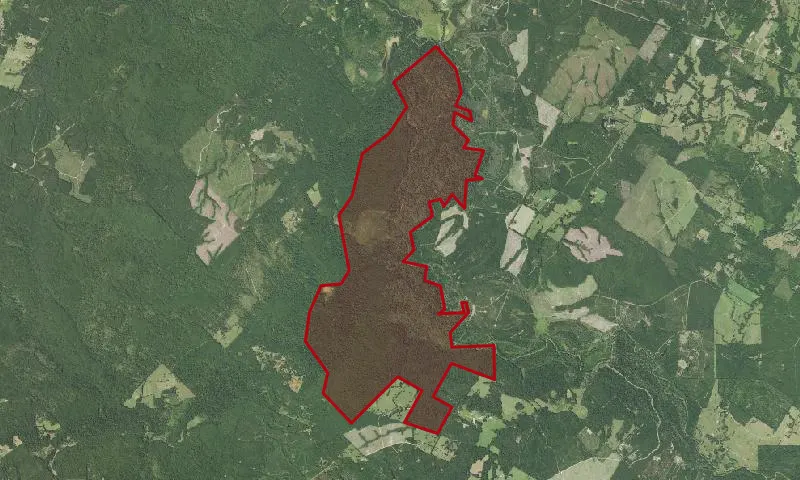 Big Slough Wilderness