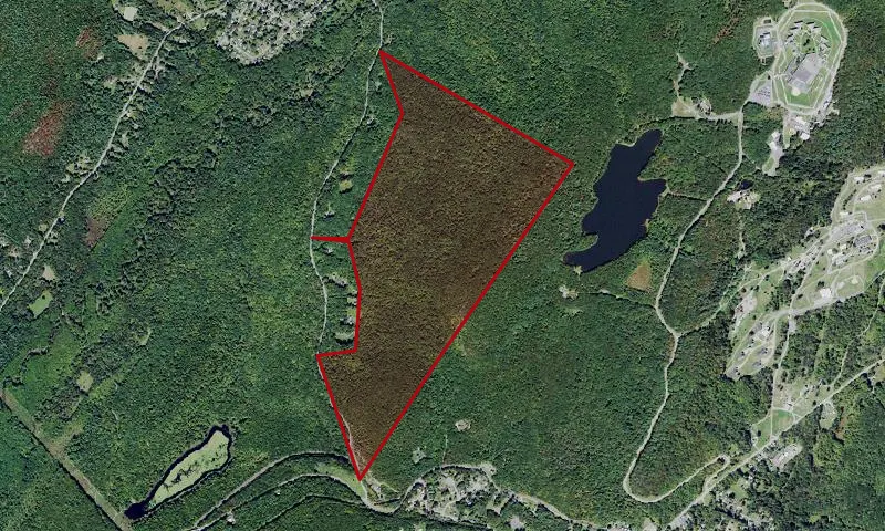 Gobbler's Knob State Forest