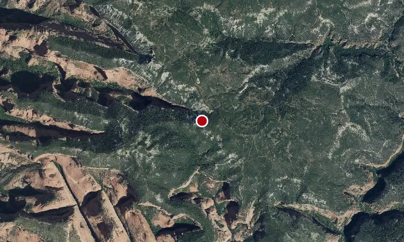 Taylor Creek Wilderness